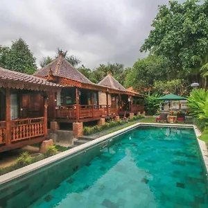 Ari Ubud (Bali)